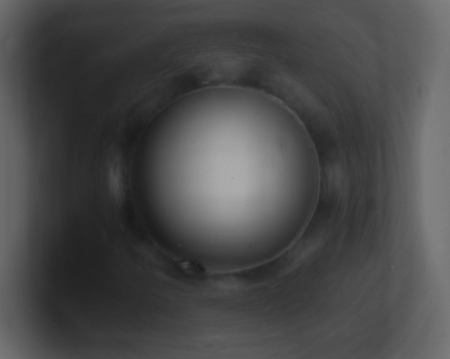 X0000101421250200807071308