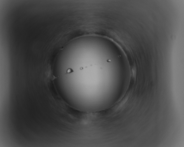 X0000101421251200807071308