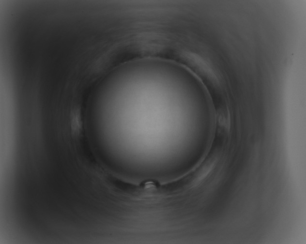 X0000101421252200807071308