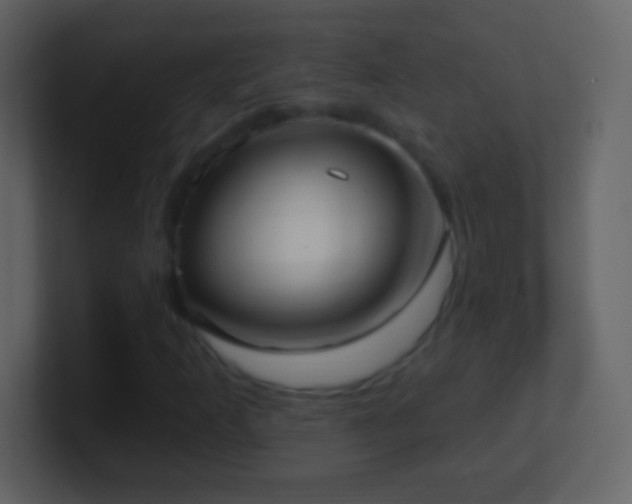 X0000101421253200807071308