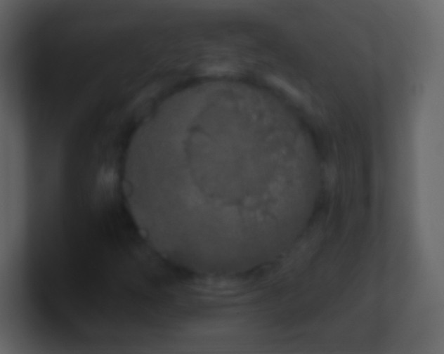 X0000101421254200807071308