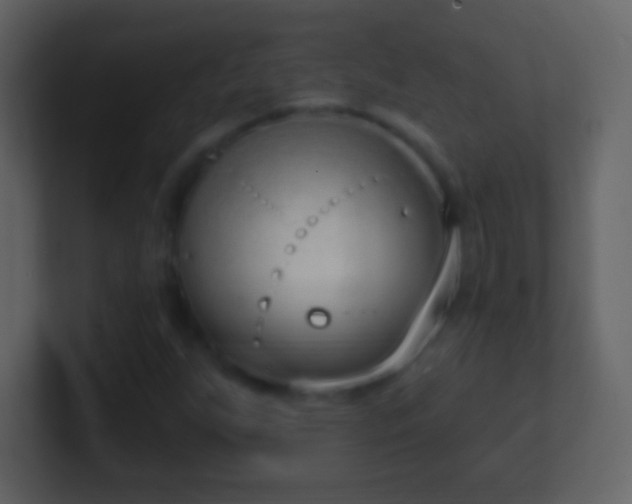 X0000101421255200807071308
