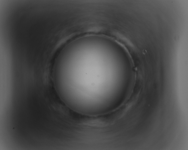 X0000101421256200807071308