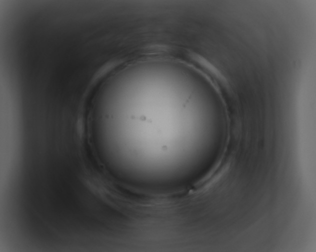 X0000101421259200807071308