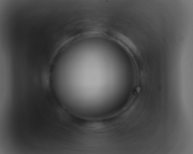 X0000101421260200807071308