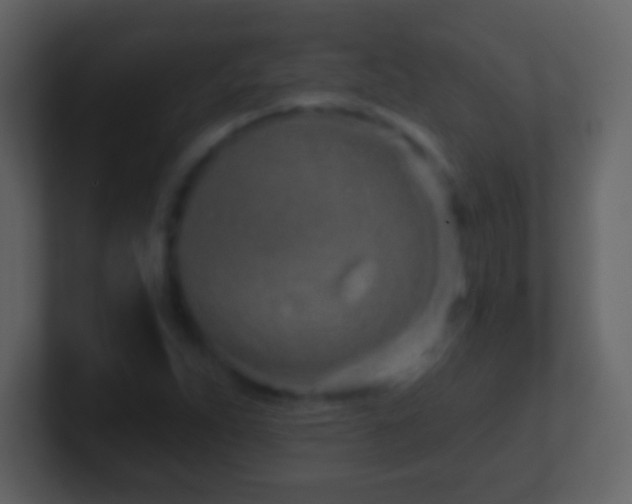 X0000101421263200807071308
