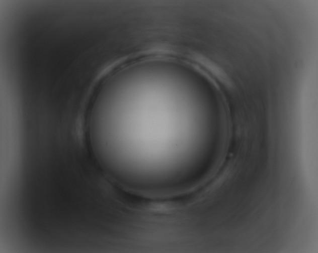 X0000101421264200807071308