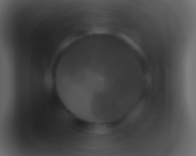 X0000101421266200807071308