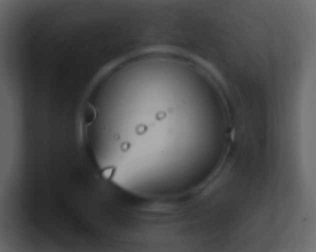 X0000101421271200807071308