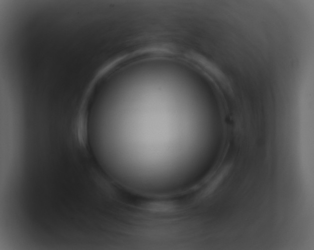 X0000101421272200807071308