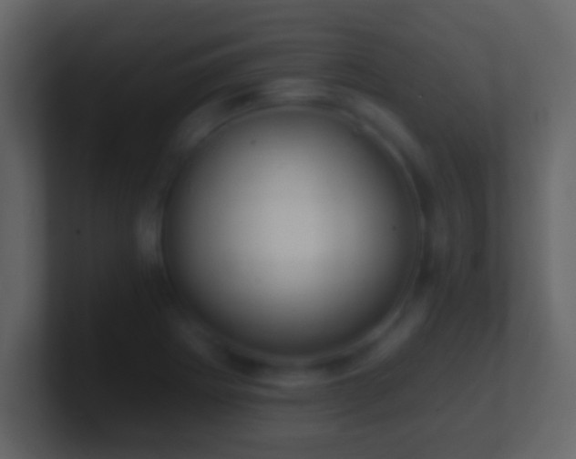 X0000101421273200807071308