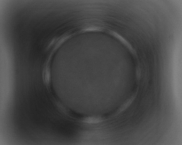 X0000101421274200807071308
