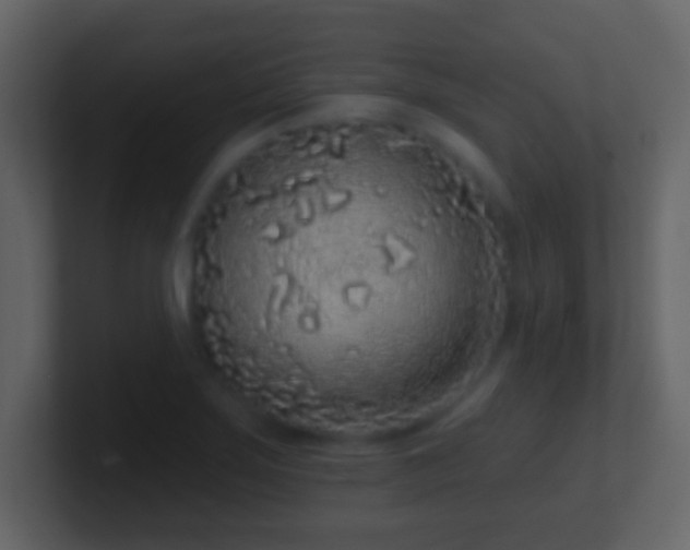 X0000101421275200807071308