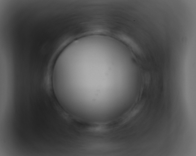 X0000101421278200807071308