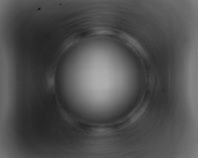 X0000101421281200807071308