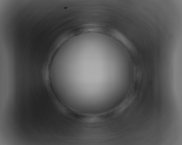 X0000101421282200807071308