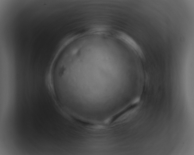 X0000101421283200807071308