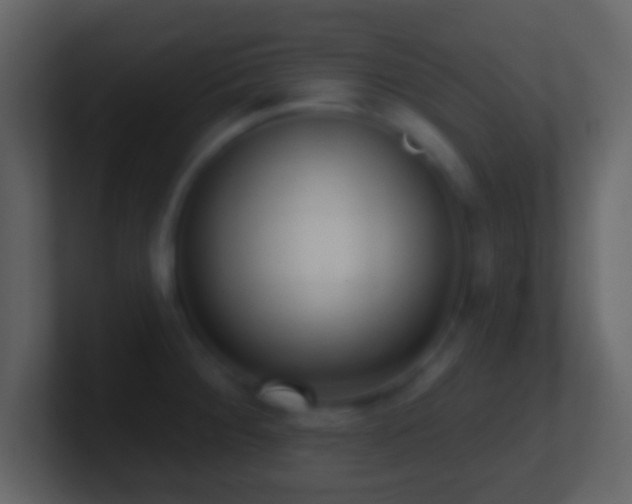 X0000101421284200807071308