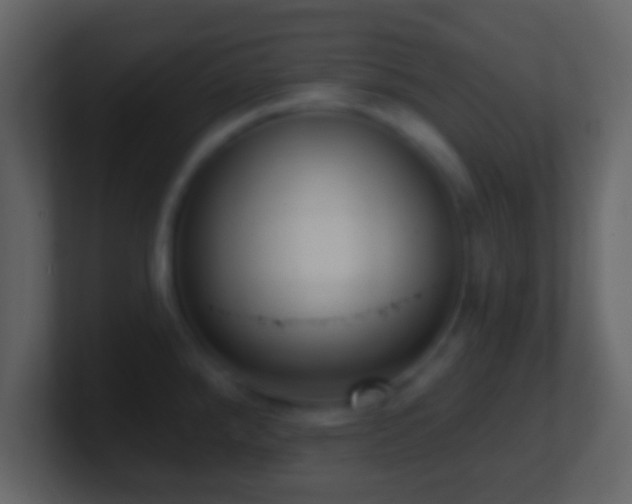 X0000101421288200807071308
