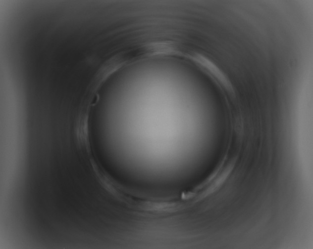 X0000101421289200807071308