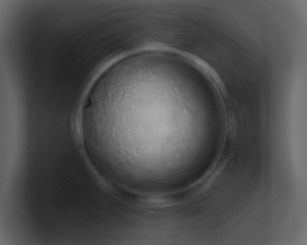 X0000101421295200807071308