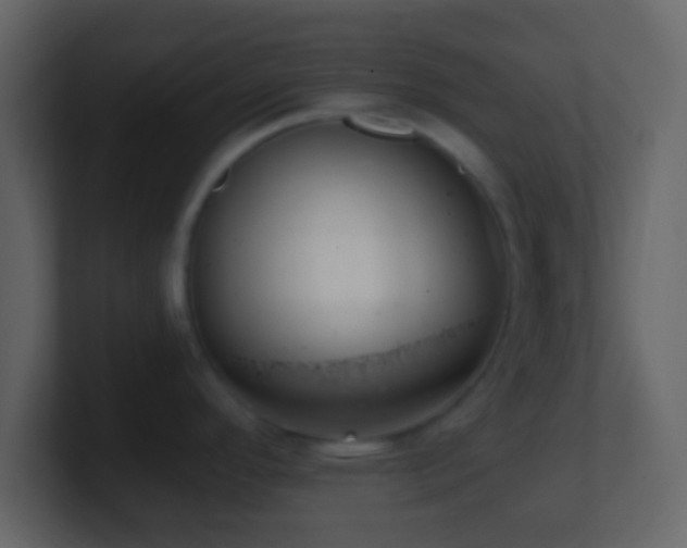 X0000101421296200807071308