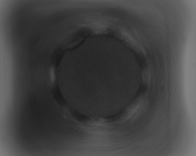 X0000101421298200807071307