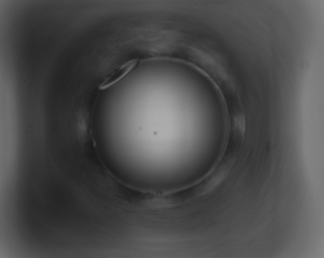 X0000101421300200807071307
