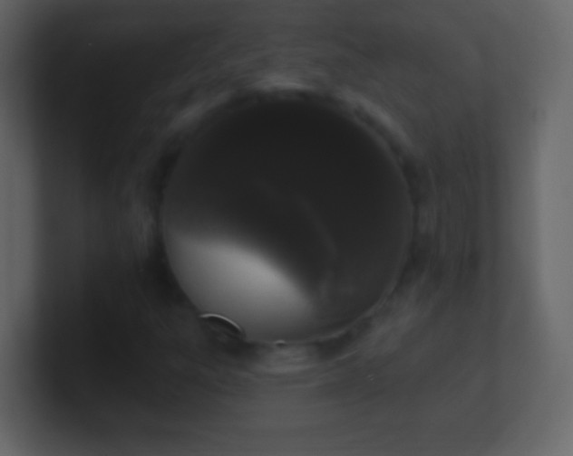 X0000101421303200807071307