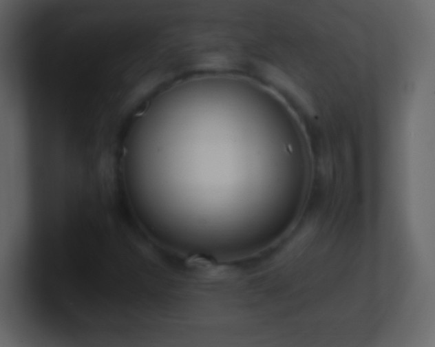 X0000101421304200807071307