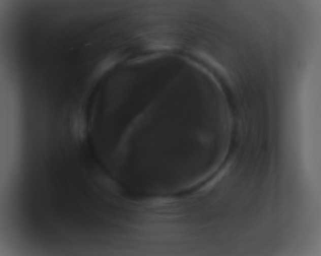 X0000101421306200807071307