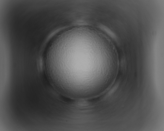 X0000101421310200807071307