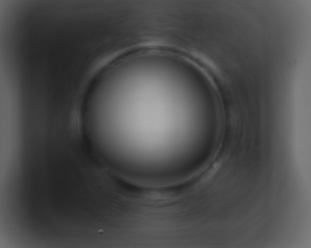 X0000101421311200807071307