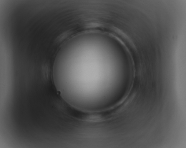 X0000101421313200807071307