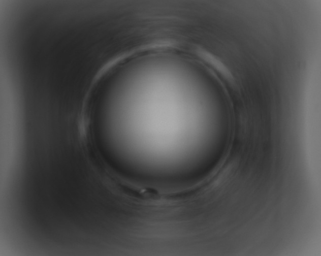 X0000101421316200807071307