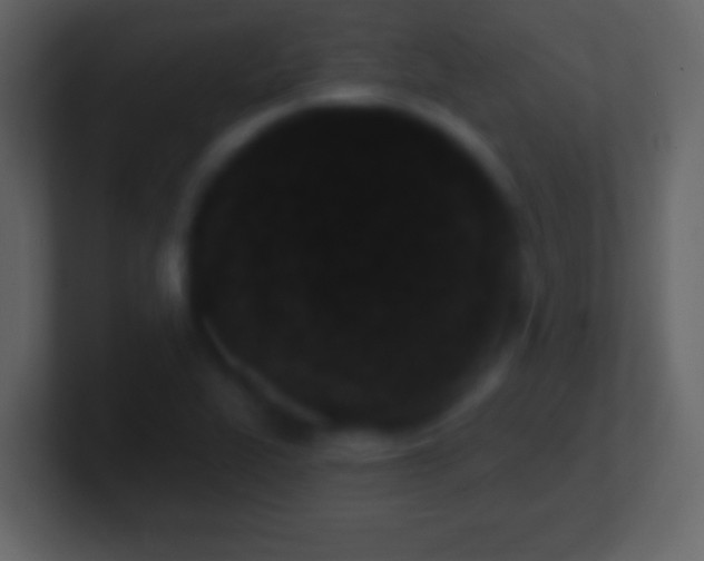 X0000101421319200807071307