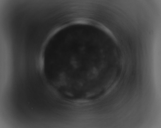 X0000101421323200807071307