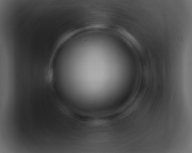 X0000101421324200807071307