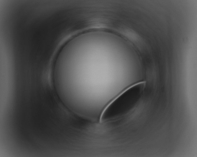 X0000101421326200807071307