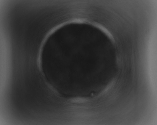 X0000101421327200807071308