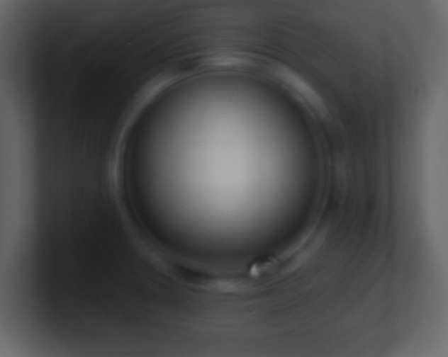 X0000101421330200807071308