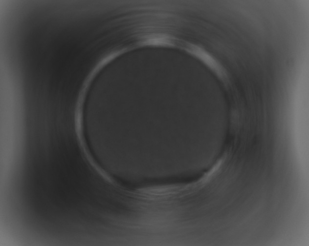 X0000101421331200807071308