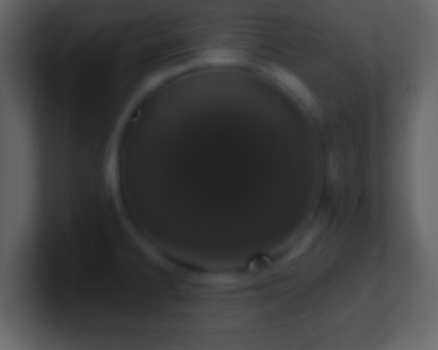 X0000101421334200807071308