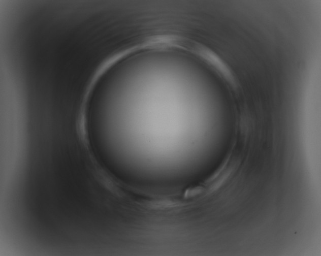 X0000101421336200807071308