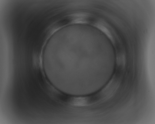 X0000101421338200807071308