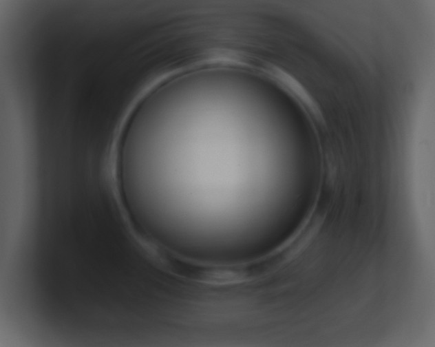 X0000101421339200807071308