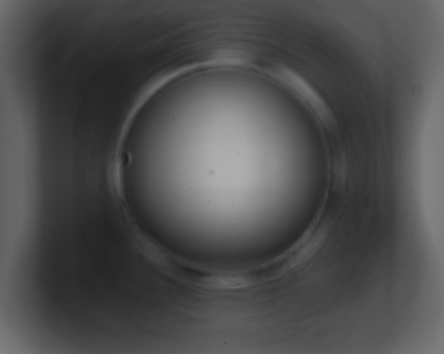X0000101421340200807071308