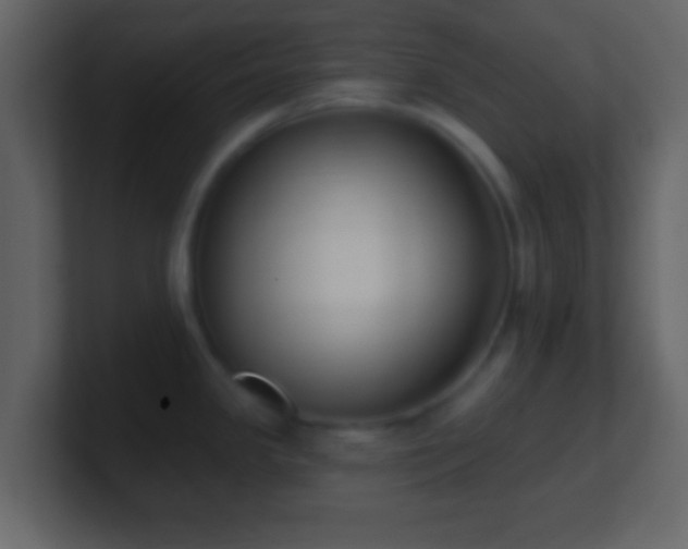 X0000101421341200807071308