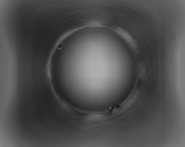 X0000101421342200807071308