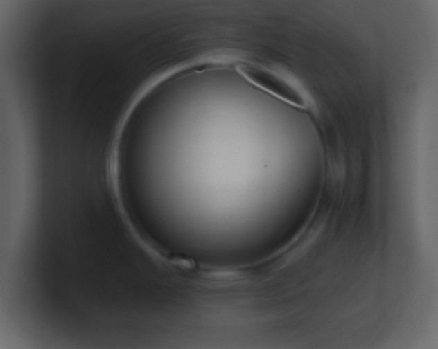 X0000101421343200807071308